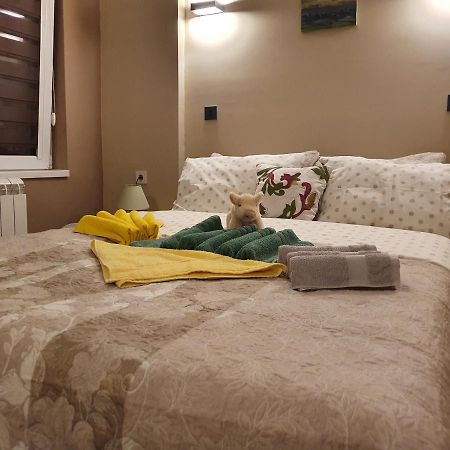 Guest House Jasmin 尼什矿泉村 外观 照片
